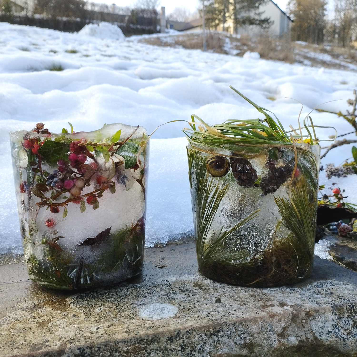 Unsere selbstgemachten Eislaternen