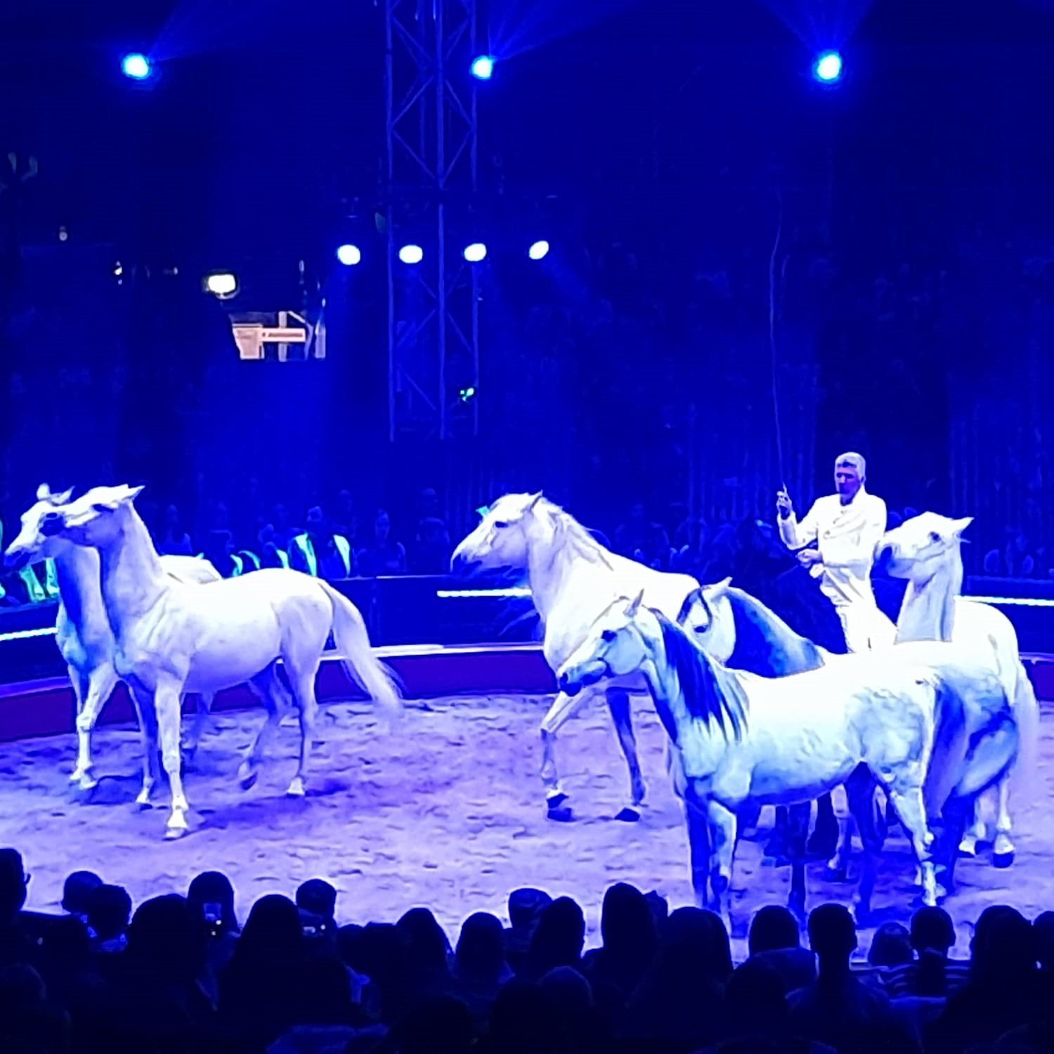 Zu Besuch beim Zirkuspalast in Heilbronn