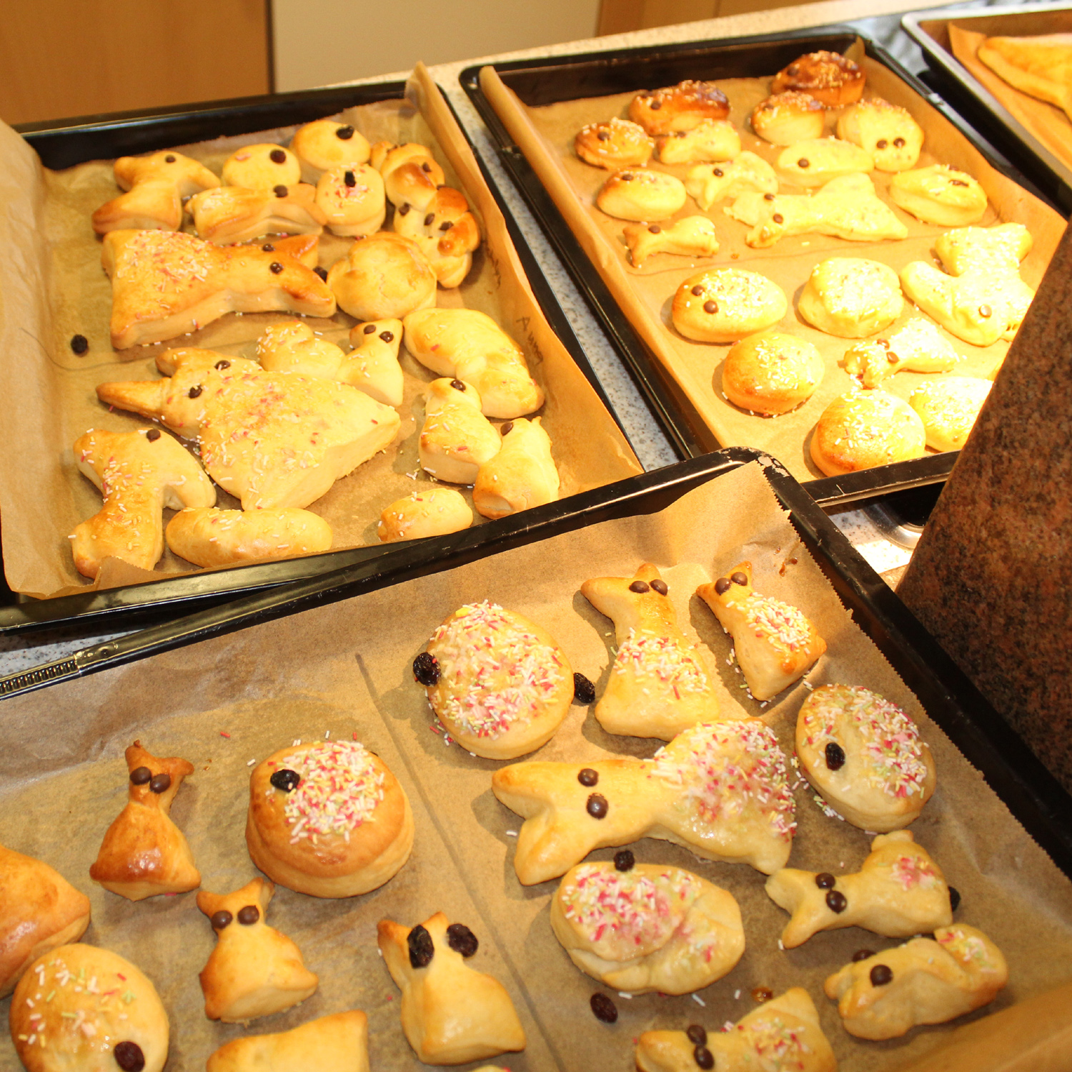 Wir backen Osterhasen und Eier