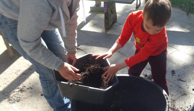 Pflanzaktion im Schulkindergarten