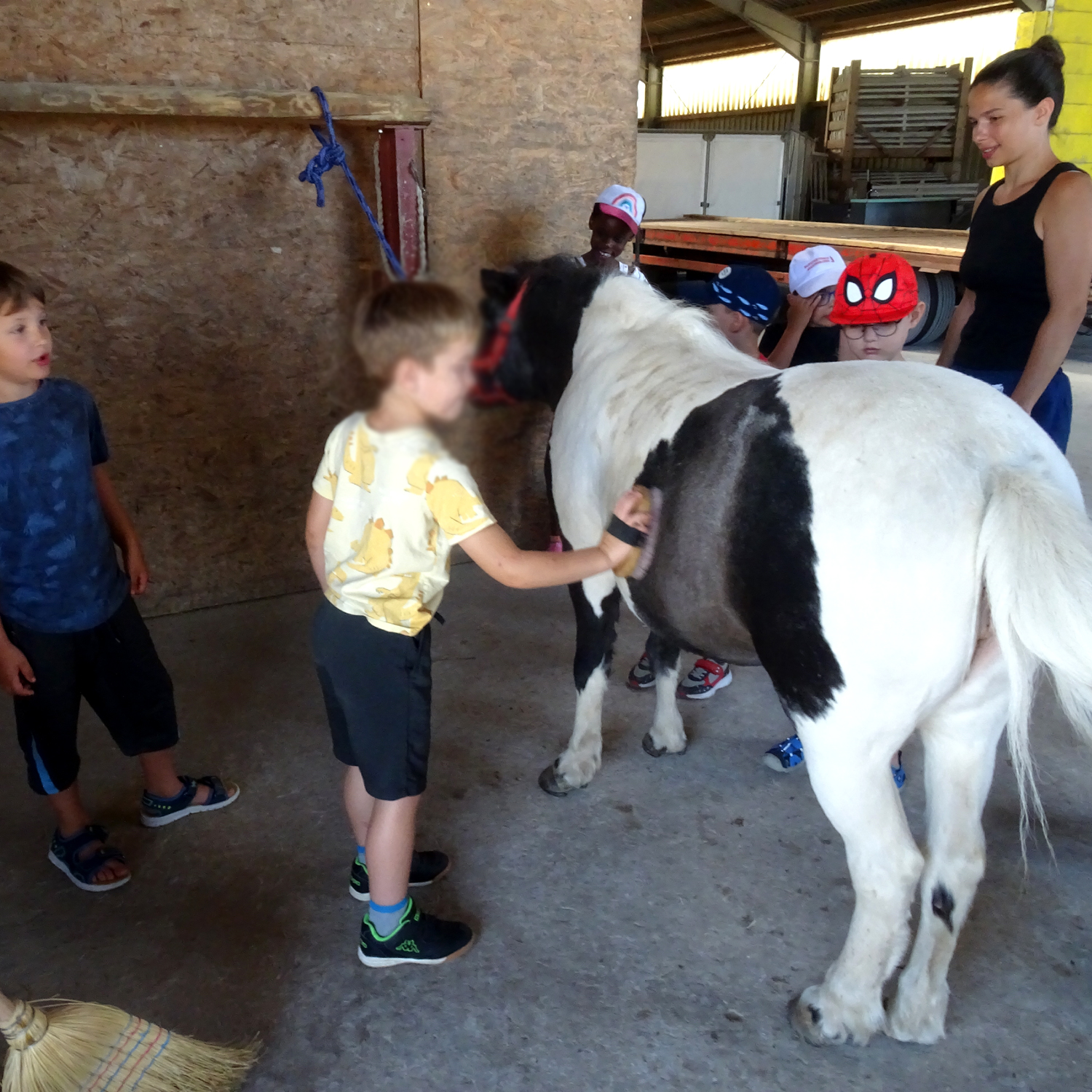 Schulkindergarten zu Besuch auf dem Fohlenhof