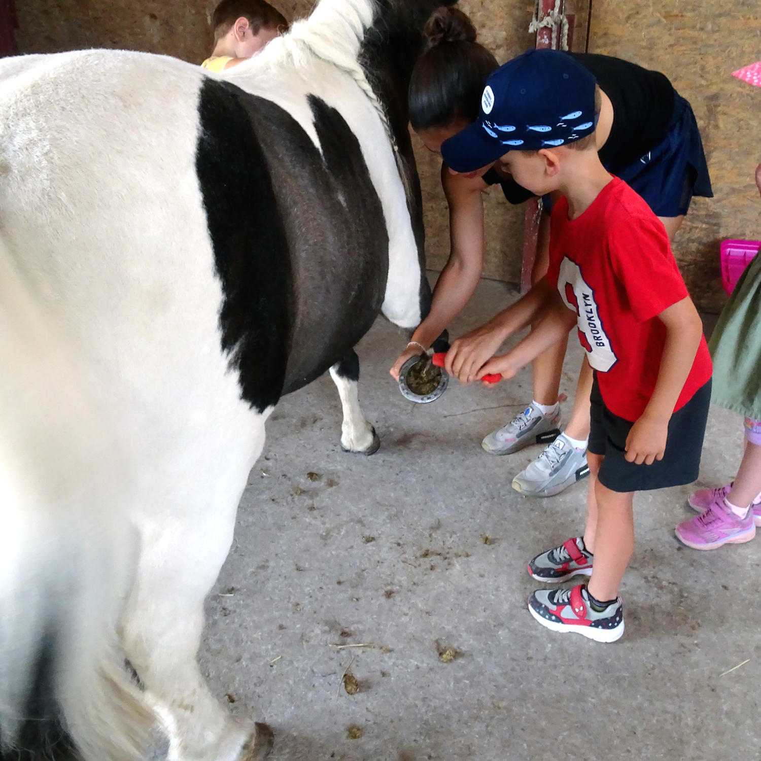 Schulkindergarten zu Besuch auf dem Fohlenhof