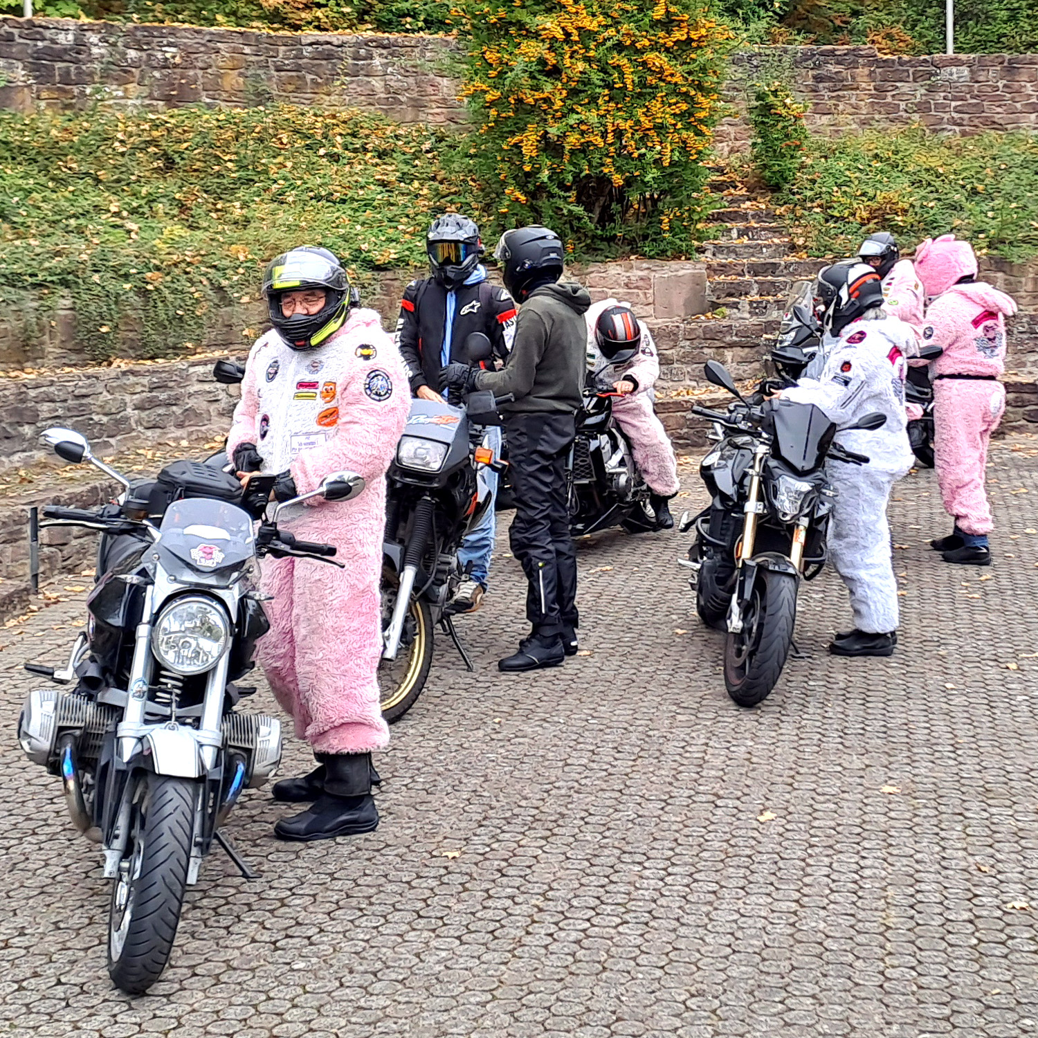 Die Streetbunnys spendeten 33 Freikarten